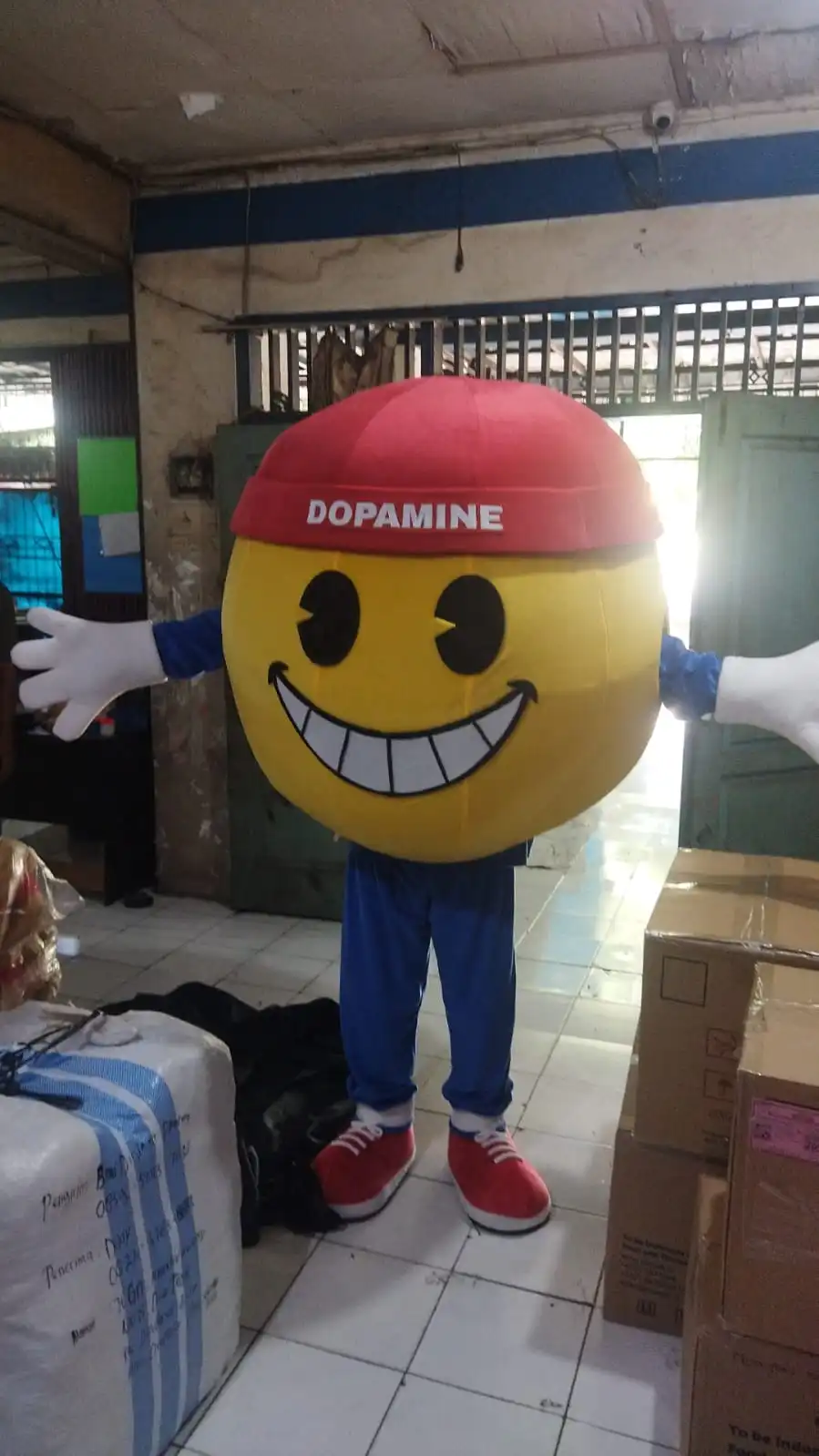 Kostum Maskot Custom Parselo untuk Promosi Brand